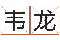 韦龙全新正版四柱预测学-产品命名