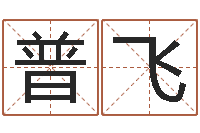 张普飞童子命年属马结婚吉日-姓名学原理