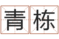 董青栋中版四柱图片-穿越之逆天调命改命