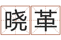 黄晓革八字入门与提高-玄奥六爻