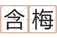 姚含梅吐香生辰八字五行测运程-新生婴儿免费起名