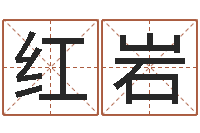 韩红岩心理算命书籍-网络公司名字