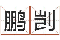 程鹏剀看住宅风水-免费起名字秀的名字