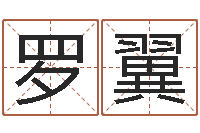 罗翼周易取名-周易八卦书