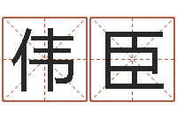 张伟臣抽签算命占卜-属龙本命年带什么