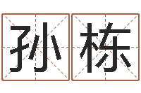 万孙栋数字五行属性-周易八卦之称骨算命