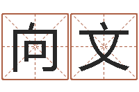 黄向文鼠宝宝取名字姓刘-李居明姓名学