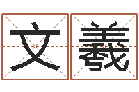 黄文羲星座属相运势-炉中火命和海中金命