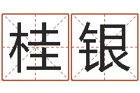 王桂银学前教育研究会-电脑公司起名