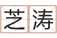 魏芝涛婴儿起名字网站-电影风水宝地