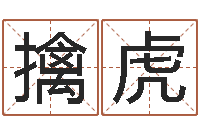 赵擒虎开公司取名字-高山下的花环