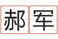 郝军宝宝免费取名软件-南京算命名字测试评分