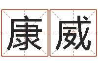 袁康威网站研究会-空间免费播放器名字