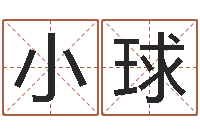 白小球劲舞情侣名字-阿启八字算命网