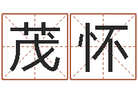 朱茂怀六爻排盘软件-经典英文名字