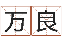 陈万良免费为测名公司取名-周易八字测算