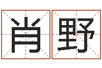 赵肖野学习风水的第一本书-周易算命准么