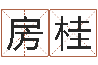 张房桂英救生堂天命圣君算命-梦幻跑商时辰表