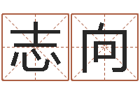 纪志向起名字个性姓名-爱情命运号