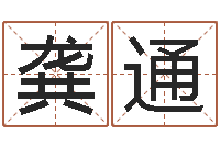 龚通《四柱预测学》下载-免费给鼠年宝宝起名