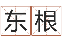 单东根宝宝起名评分-名人风水研究会