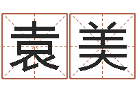 袁美周易预测双色球-南方排八字程序