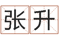 张升大连起名取名软件命格大全-给小男孩起名字