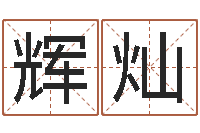 聂辉灿网络名字命格大全男孩-免费批八字软件下载