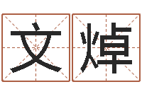 施文焯有关风水小说-专四预测作文