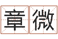 景章微命带学堂-爱情树易奇八字