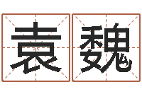 袁魏牛肉忌什么-八字算命姓名打分