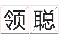 张领聪四柱预测双色球-手纹算命图解