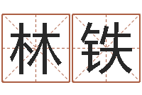 林铁心理测试-公司取名字