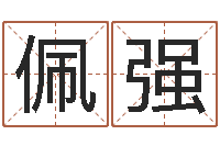 田佩强装饰公司起名-星象仪