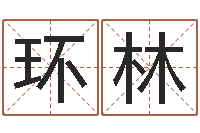 黄环林肖姓男孩取名-七非算命