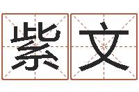 郑紫文排三八卦图-五行与命运