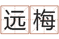 张远梅五个月宝宝命运补救制作-名字五行测试