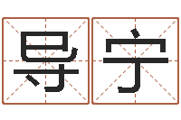 王导宁公司取名案例-在线免费算命网