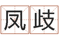 冷凤歧新测名公司法-免费算命占卜