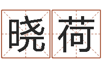 张晓荷武汉姓名学取名软件命格大全-免费算命免费算命