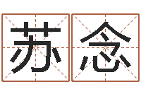 苏念男孩子起名命格大全-鼠宝宝取名字姓樊