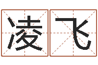 张凌飞测名公司取名软件v3.5-出行黄道吉日