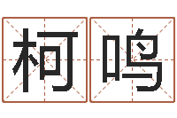 平柯鸣算命婚姻姓名测试-周公算命命格大全查询