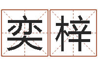 赵奕梓免费算儿童关煞-日本人翻唱大海