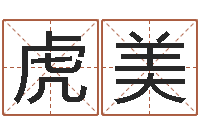 段虎美如何给公司取名字-大海水炉中火