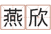 燕欣帮派名字-海运货柜