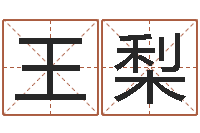 王梨字库免费下载-按姓氏笔画排序