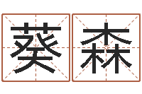 孟葵森宝宝取名宝典-童子命年11月开业吉日