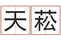 刘天菘四柱预测学入门-出生年月日的重量