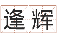 周逢辉鬼吹灯电子书-八字派盘